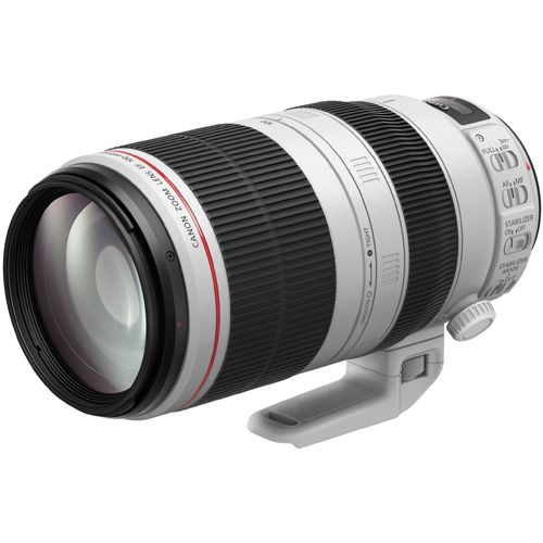 Canon EF100-400mm F4.5-5.6L IS USM